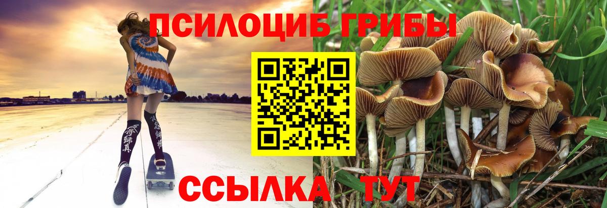 Галлюциногенные грибы мухоморы  Вход с VPN  Симферополь  Псилоцибиновые грибы мухоморы 
